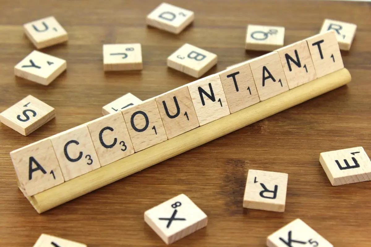 PROFESSIONAL ACCOUNTING